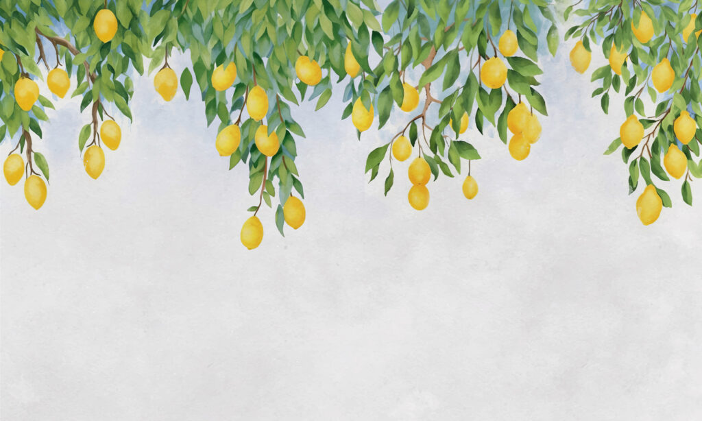 Citron ze stromu Citron ze stromu