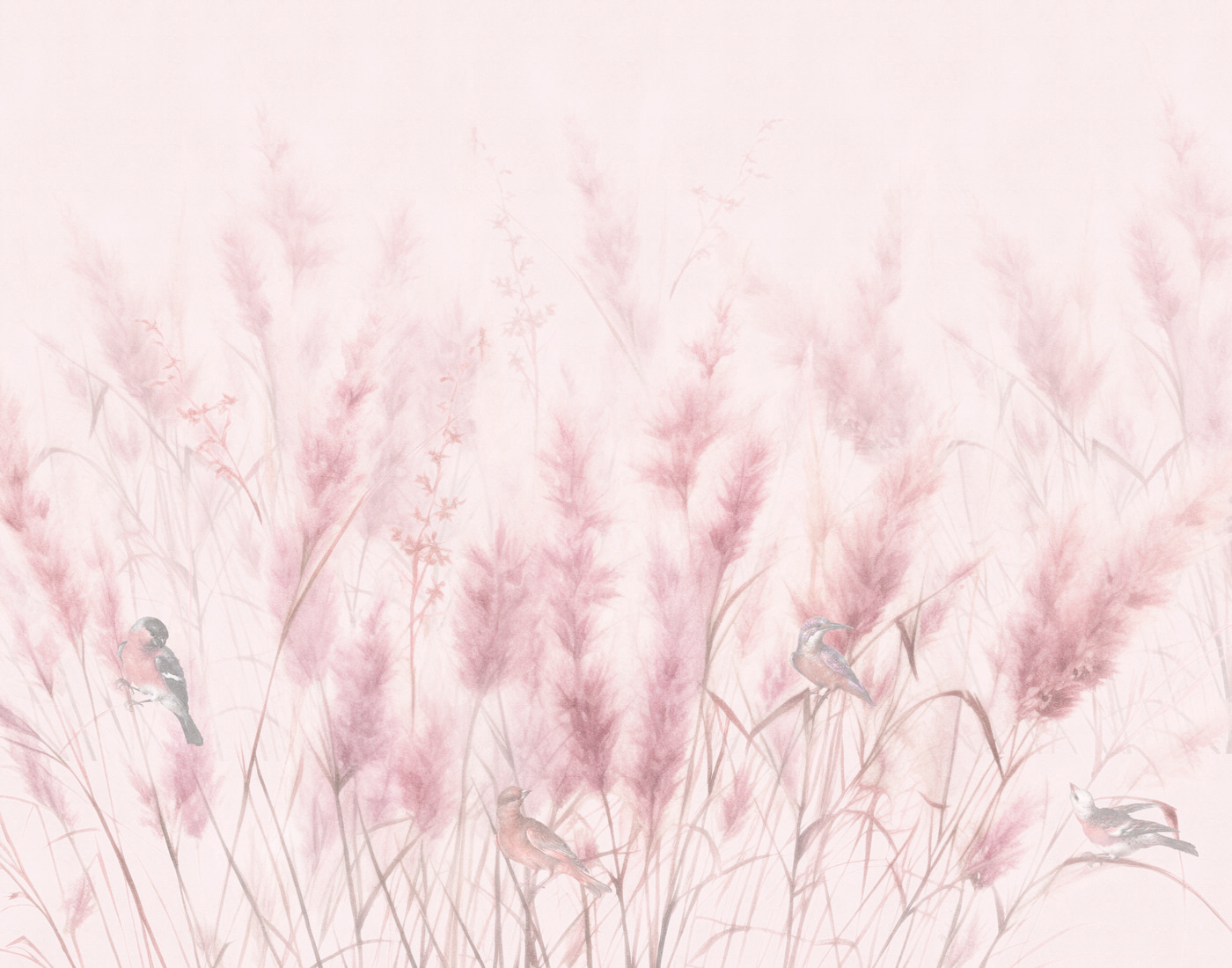 A group of birds in a field of pink grass