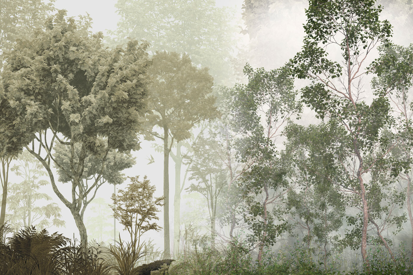 A group of trees in a foggy forest