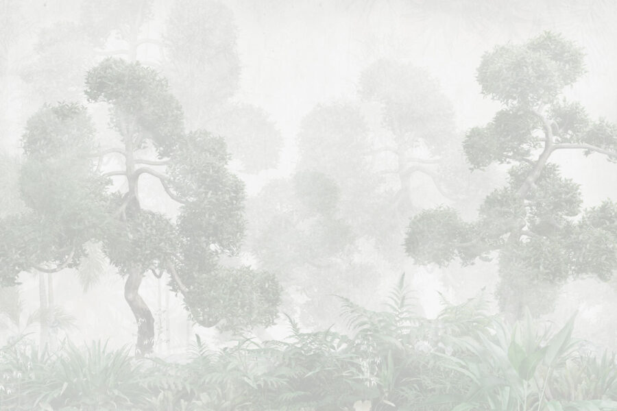 A foggy forest with trees and ferns A foggy forest with trees and ferns