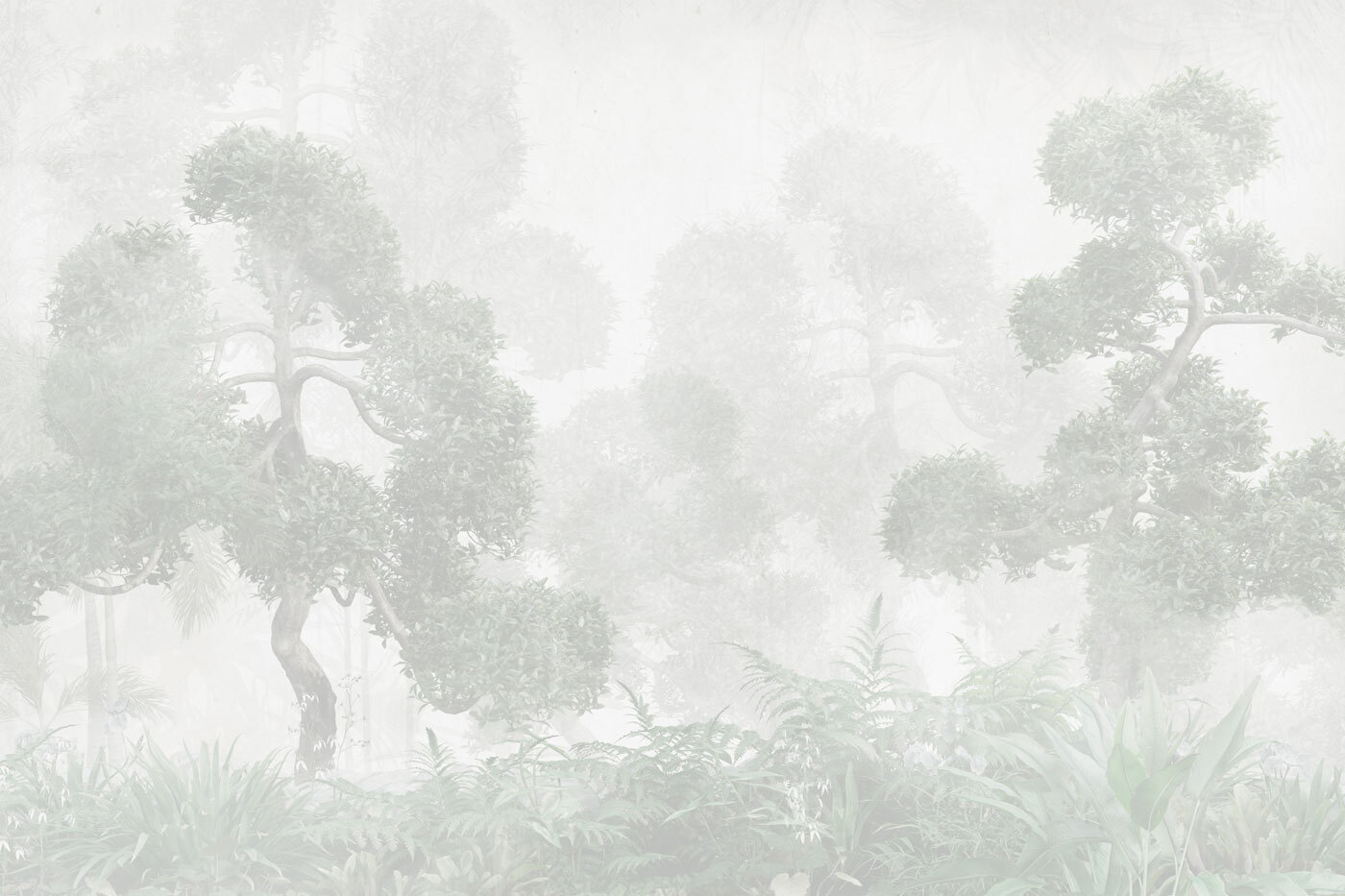 A foggy forest with trees and ferns