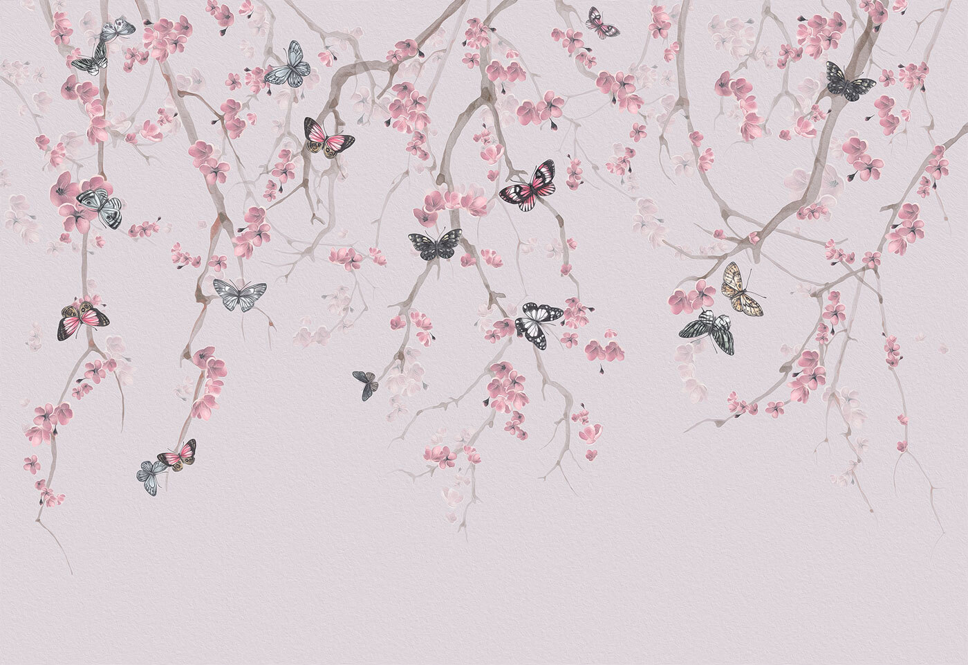 Butterflies on a tree branch Butterflies on a tree branch