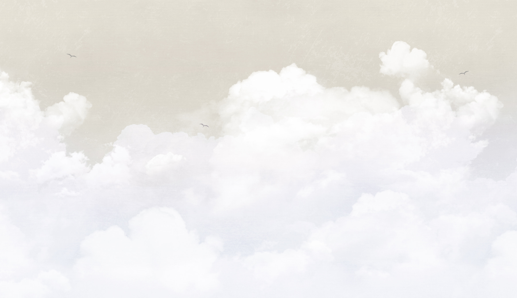 A white clouds in the sky A white clouds in the sky