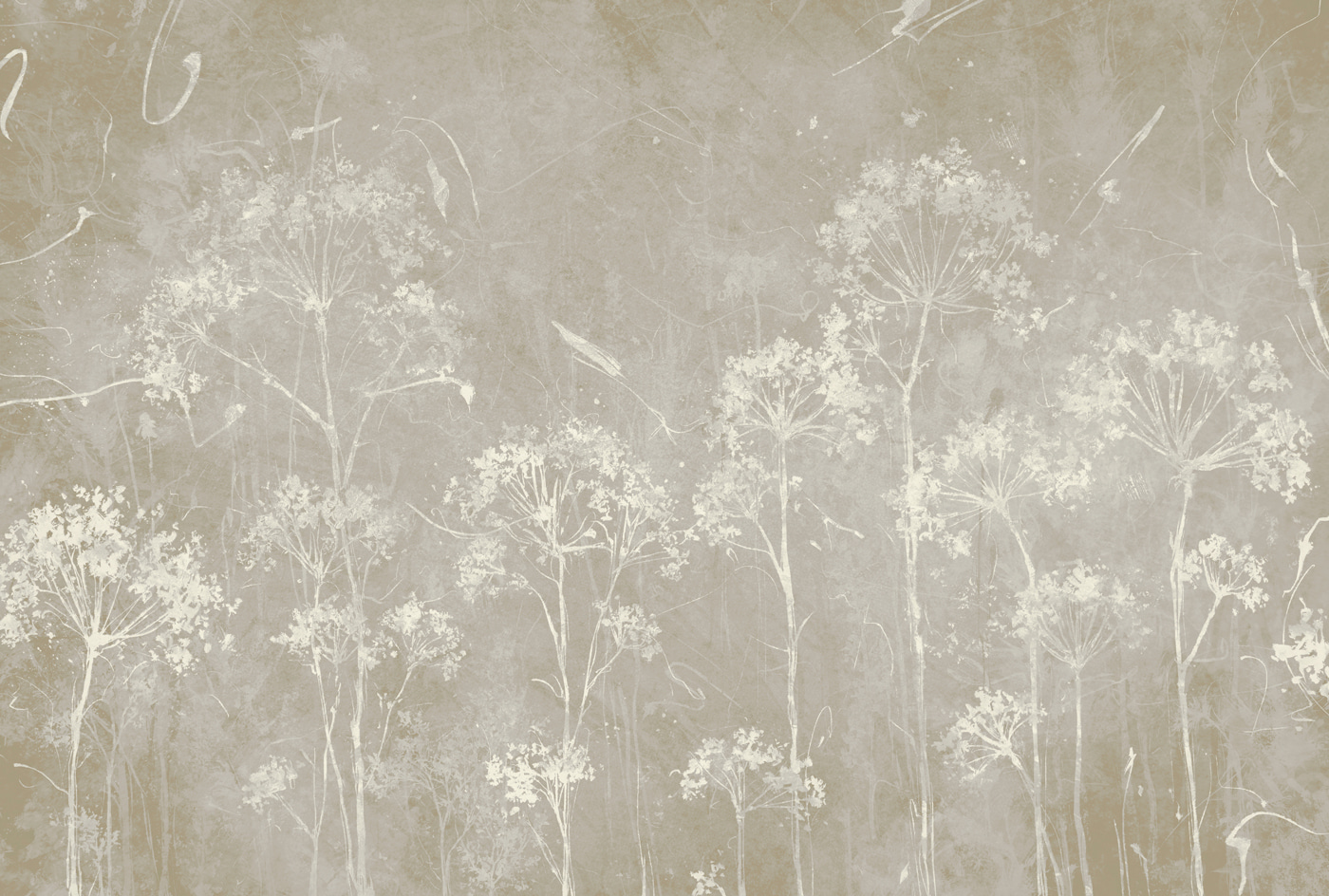A white flowers on a gray background