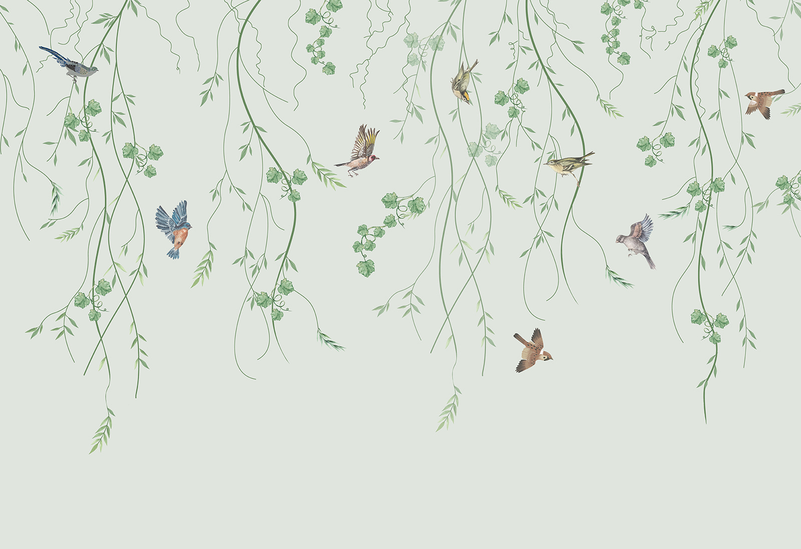 Wallpaper with birds and vines