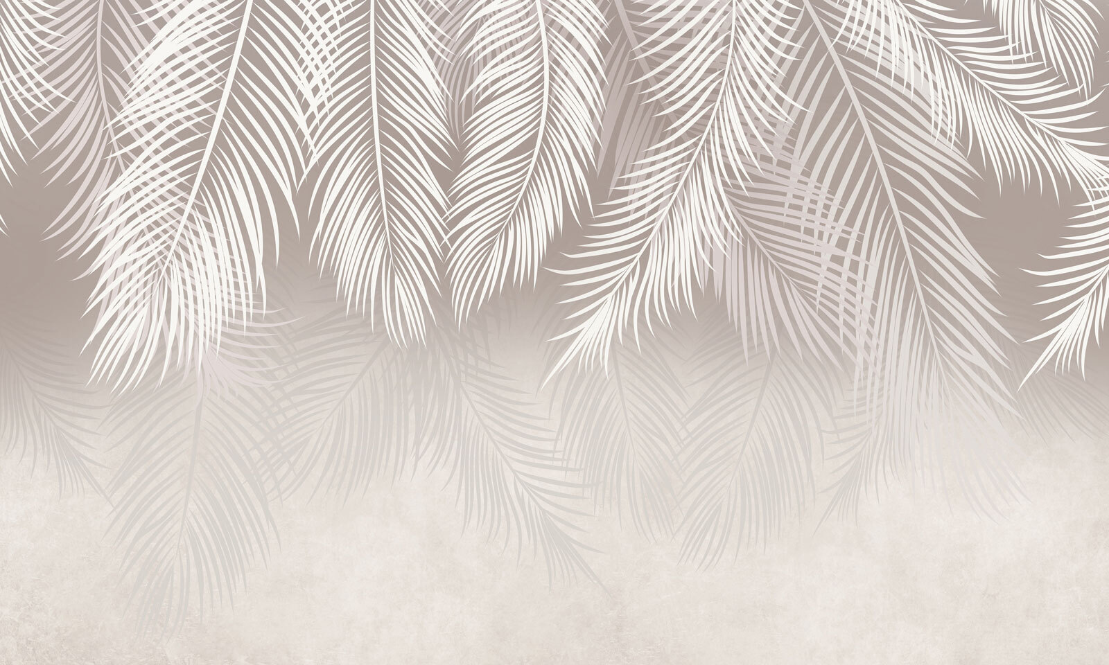 White leaves on a white background White leaves on a white background