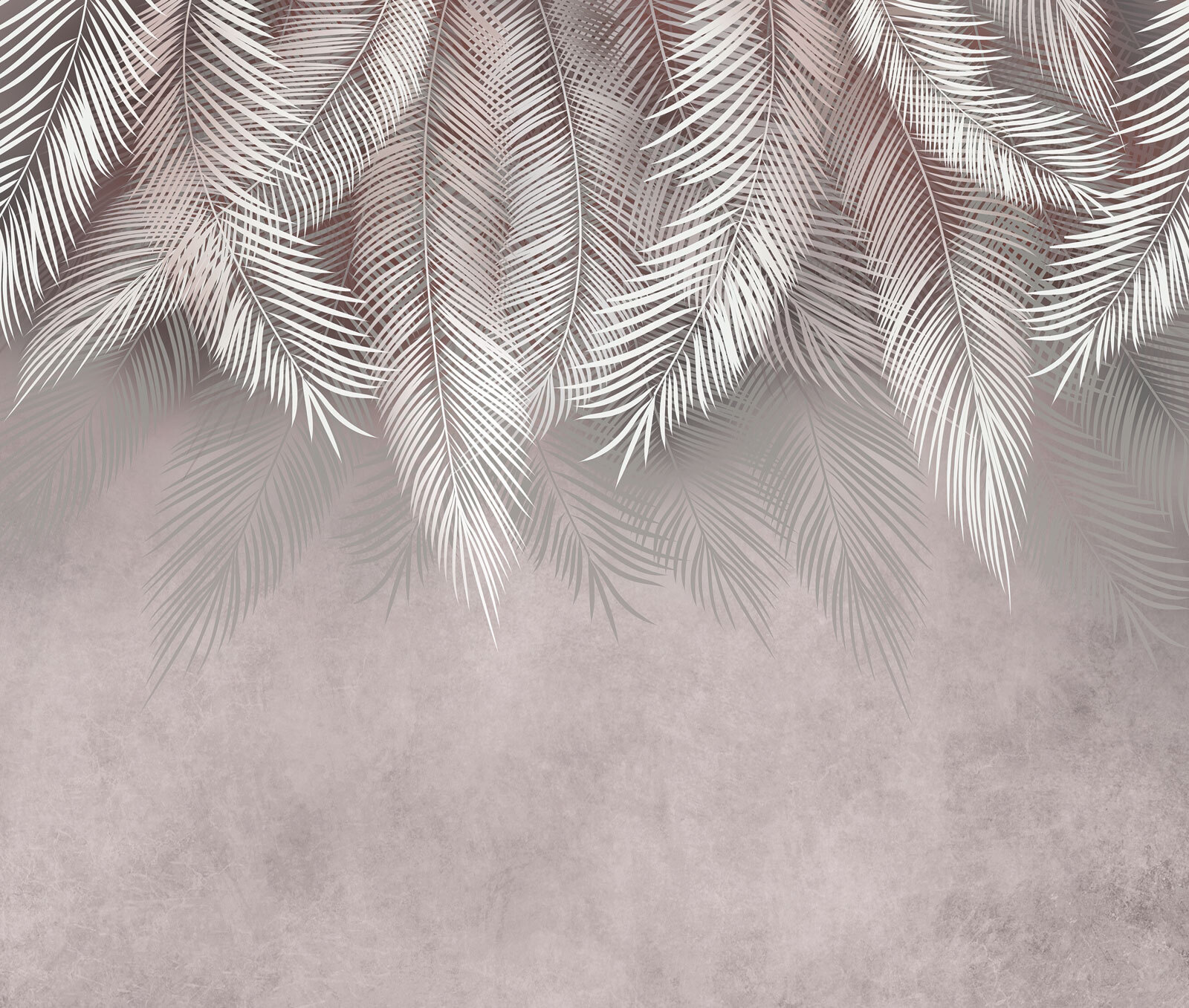 Delicate leaves against a soft backdrop Delicate leaves against a soft backdrop