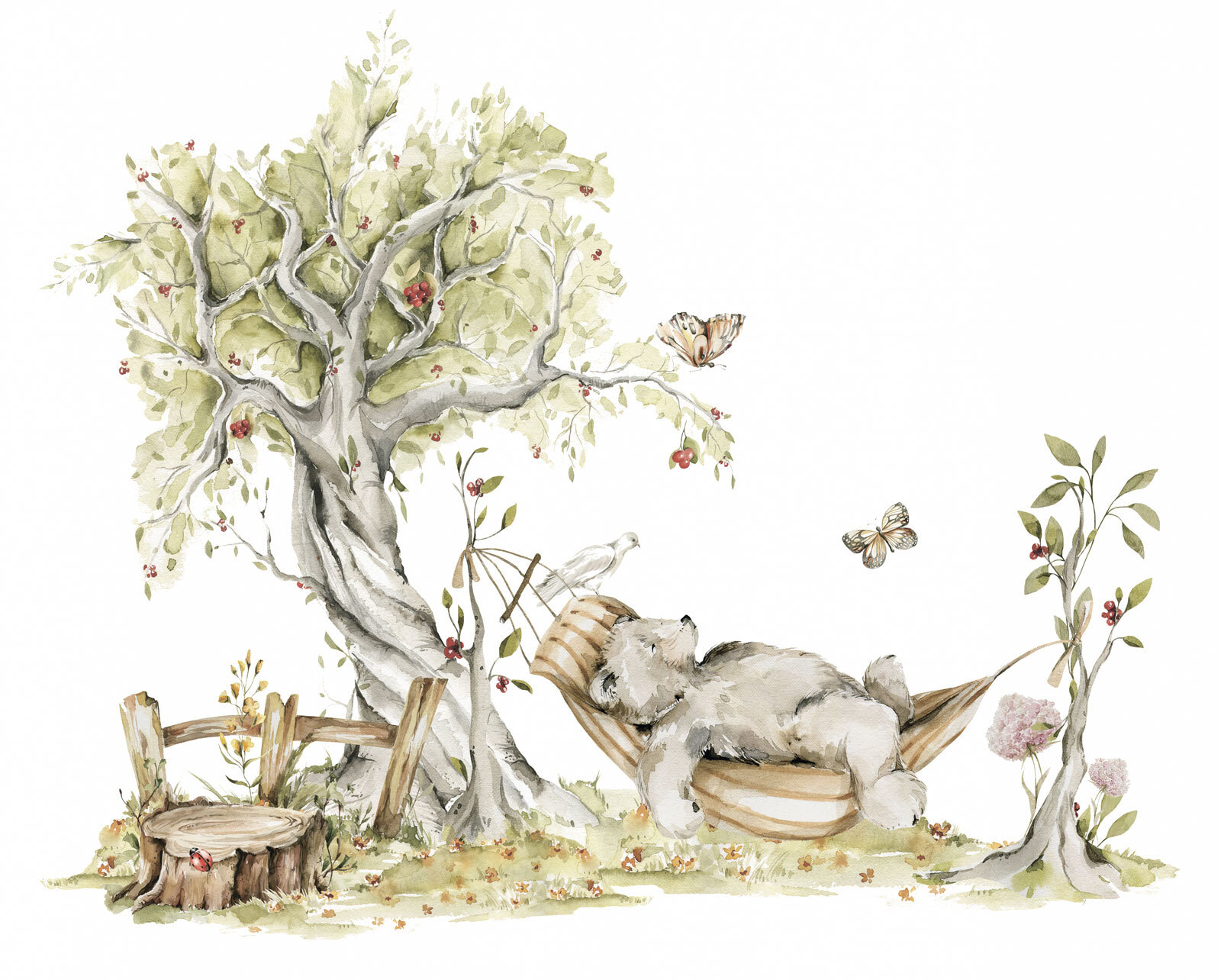 Bear sleeping in a hammock Bear sleeping in a hammock