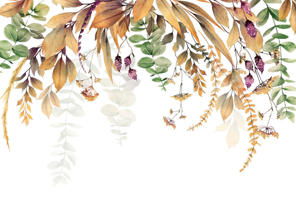 Botanická elegance na bílém pozadí. Botanická elegance na bílém pozadí.