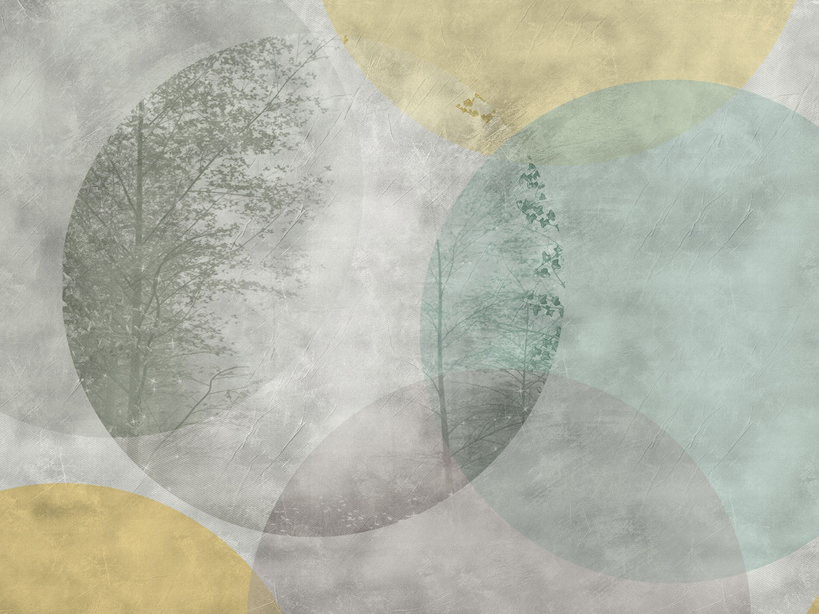 Tree and circles on a wall