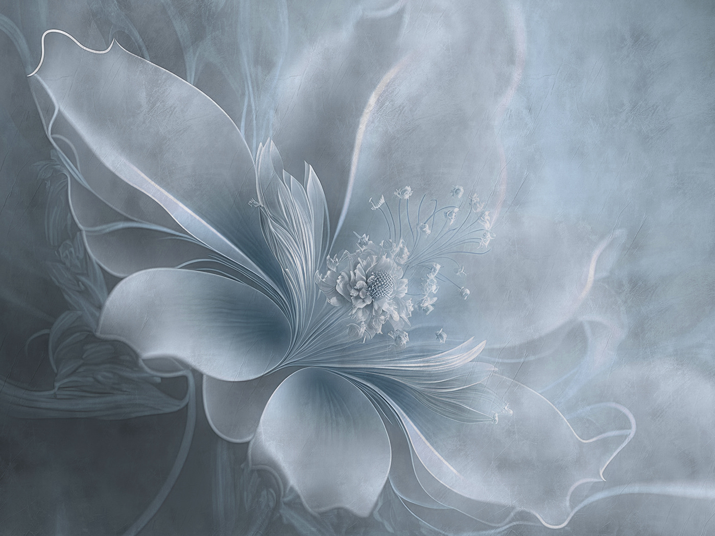 A white flower with a flower on it A white flower with a flower on it