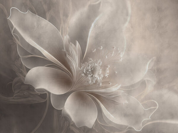 White flower with a flower on it White flower with a flower on it