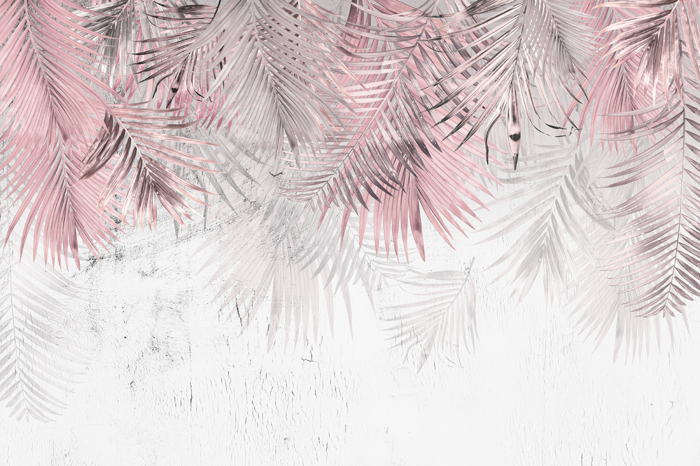 A pink and white palm leaves A pink and white palm leaves