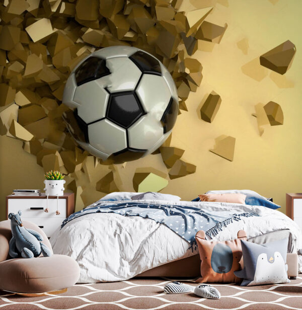 Fototapeta Fototapeta Fotbalový míč v hromadě rozbitých kousků (Katalogové číslo: u72801)