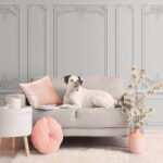 Fototapeta Stěna s bílými stěnami