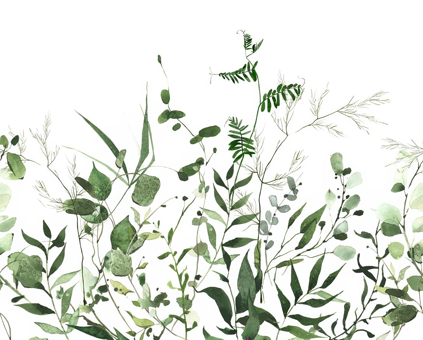 Lush greenery on a white background