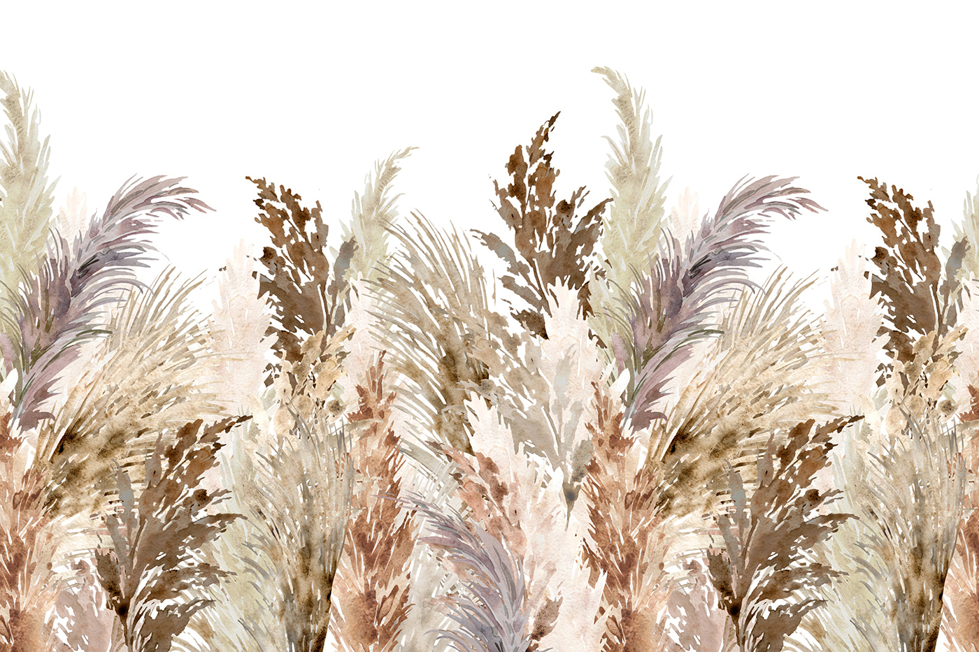 Group of brown and white plants Group of brown and white plants