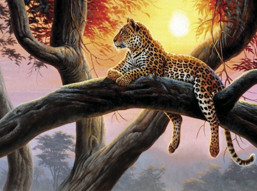 Leopard ležící na větvi stromu