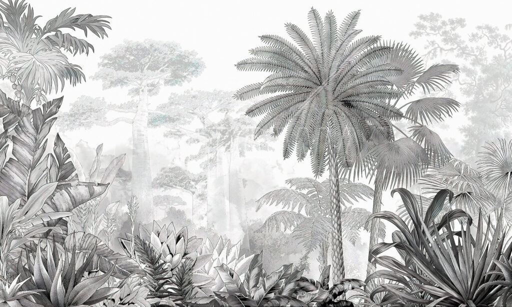 Černobílý obraz lesa Černobílý obraz lesa