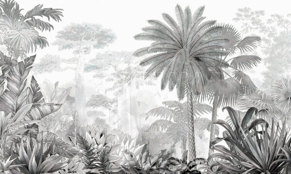 Černobílý obraz lesa Černobílý obraz lesa