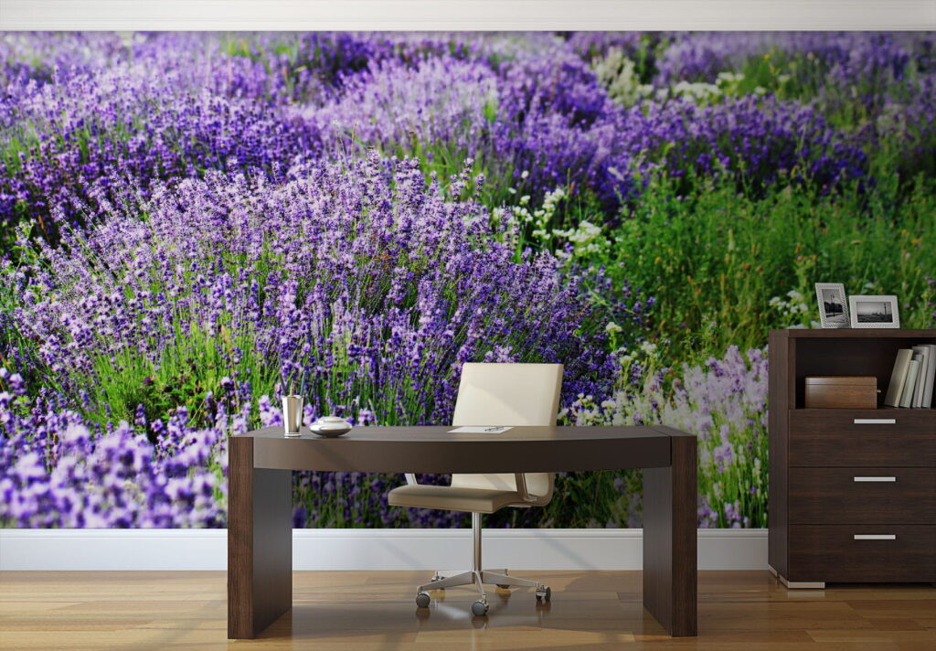 Pole fialových květů u57293piw1 1024x712 - Pole fialových květů - tegory