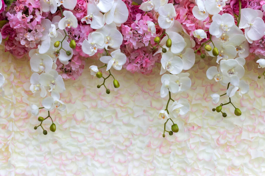 Group of white and pink flowers Group of white and pink flowers