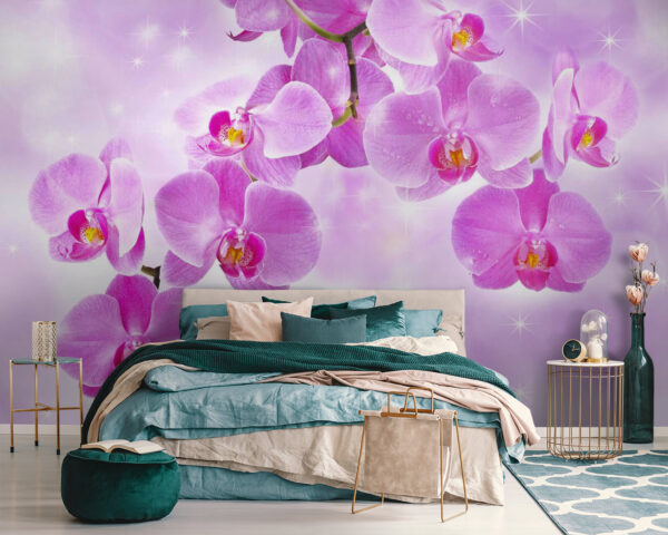 Jemné orchideje v jemných odstínech Jemné orchideje v jemných odstínech