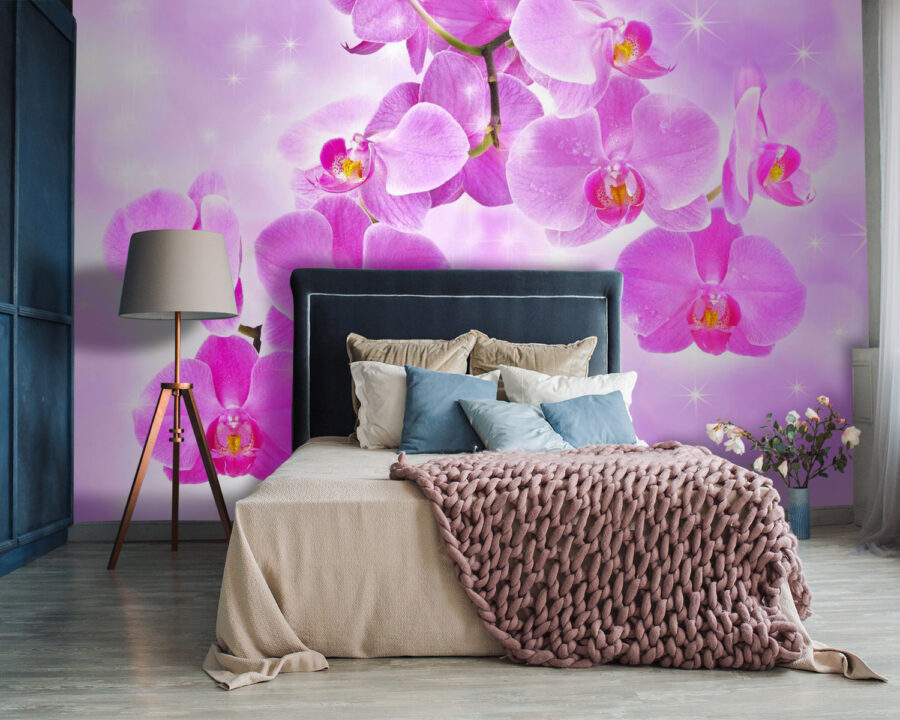 Jemné orchideje v jemných odstínech