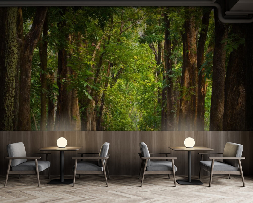 u55418piz137m 1024x819 - Stezka se stromy po stranách - tegory