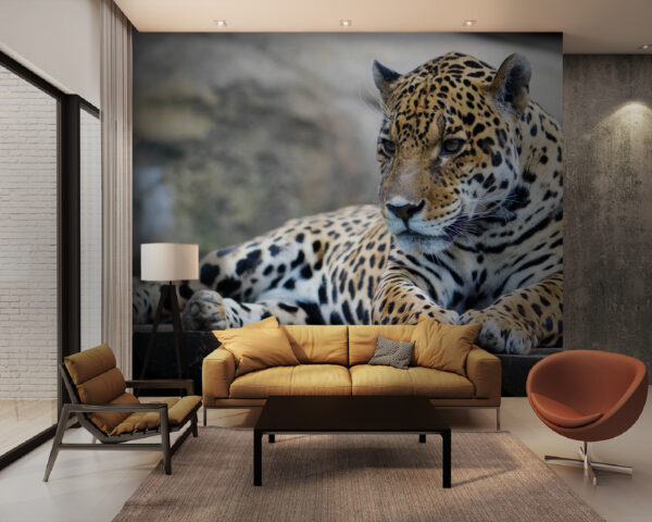 Leopard ležící na dřevěném povrchu Leopard ležící na dřevěném povrchu
