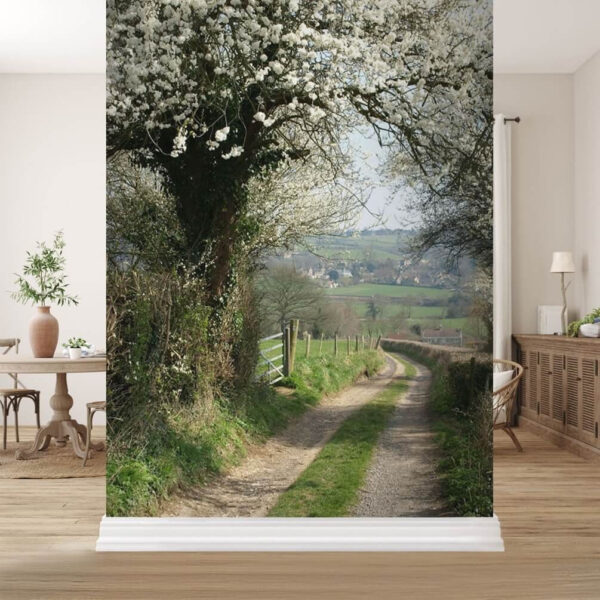 Dirt road with white flowers on it Dirt road with white flowers on it