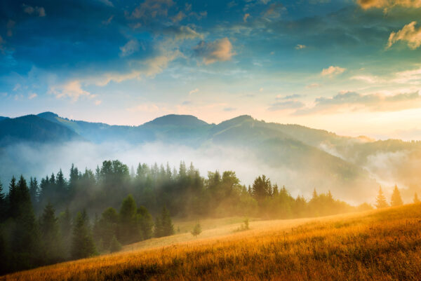 Krajina se stromy a horami Krajina se stromy a horami