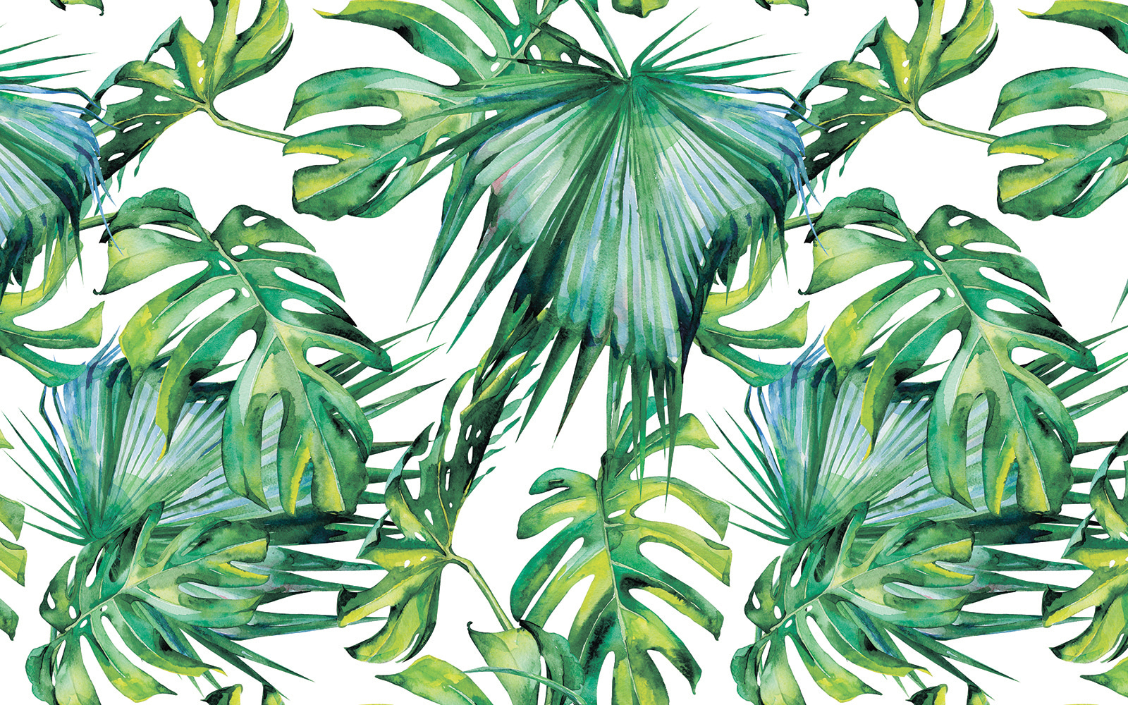 Lush green leaves in vibrant arrangement Lush green leaves in vibrant arrangement