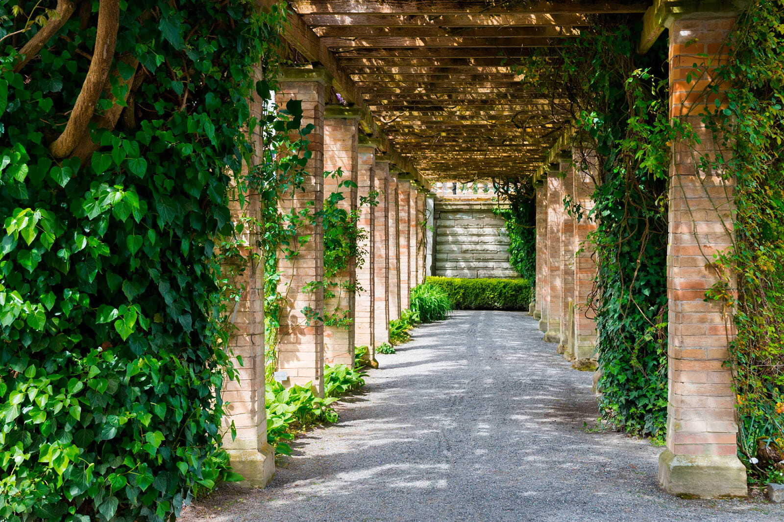 Walkway with stone pillars and vines