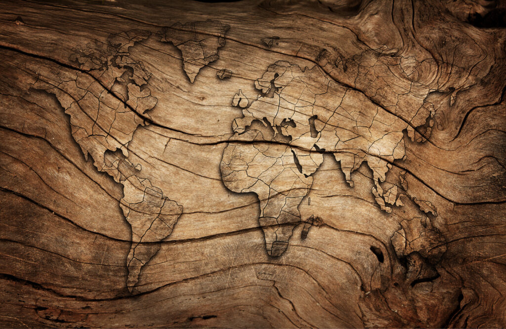 Mapa světa na kusu dřeva Mapa světa na kusu dřeva