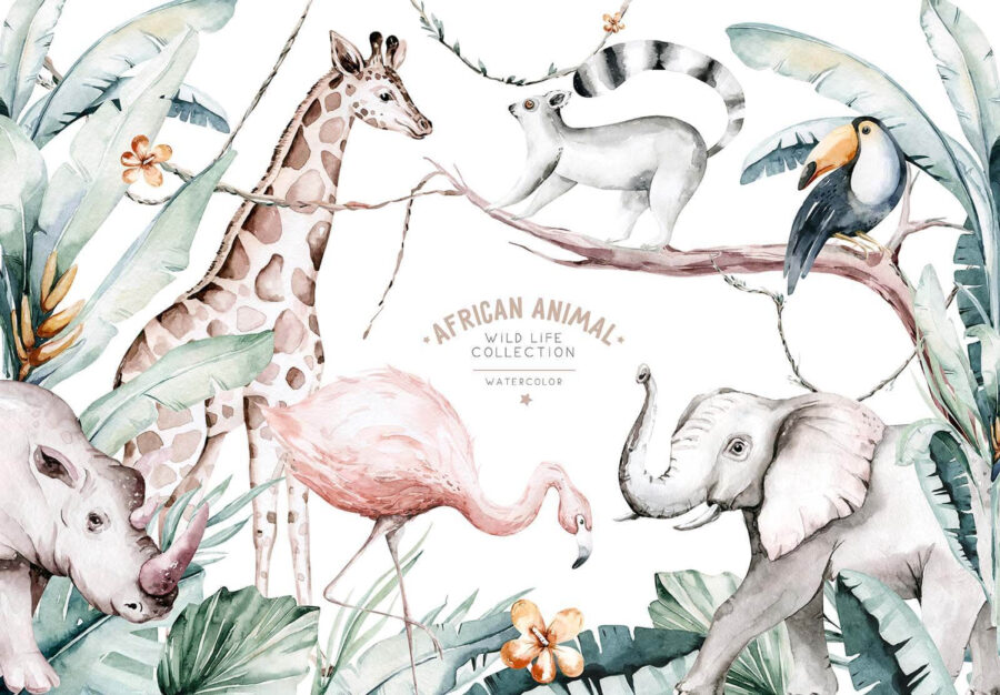 Akvarelové ilustrace zvířat a rostlin