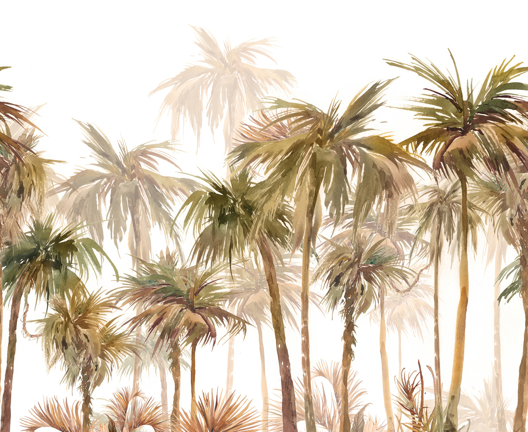 Group of palm trees