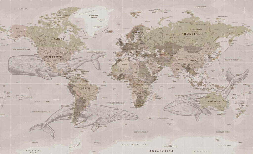 Mapa světa s velrybami Mapa světa s velrybami