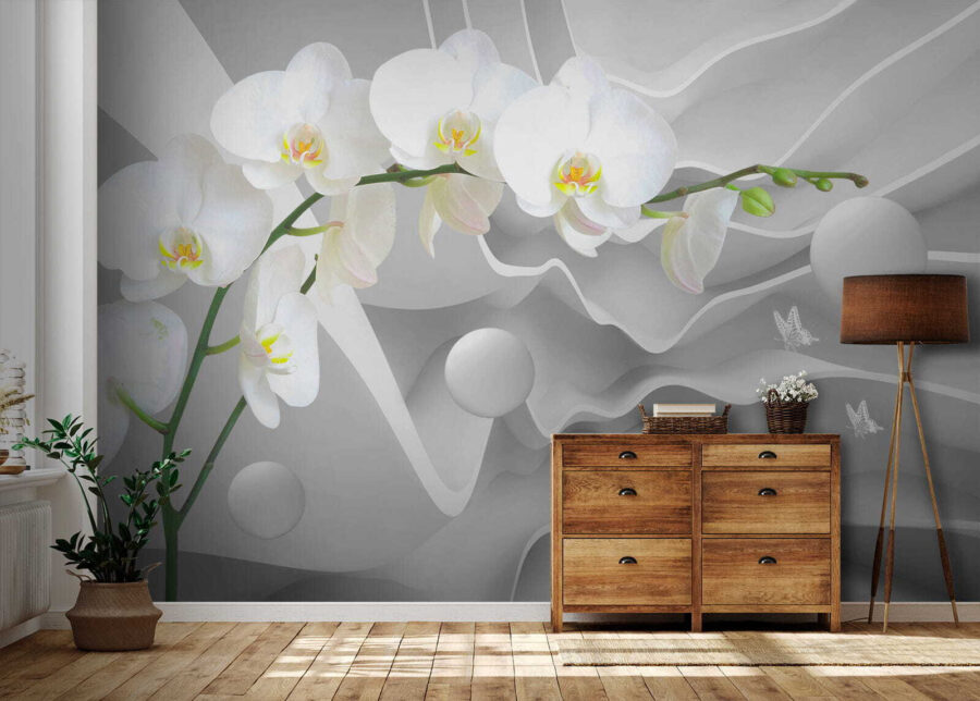 Bílé orchideje a bílé koule Bílé orchideje a bílé koule