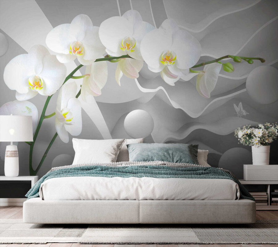 Bílé orchideje a bílé koule Bílé orchideje a bílé koule