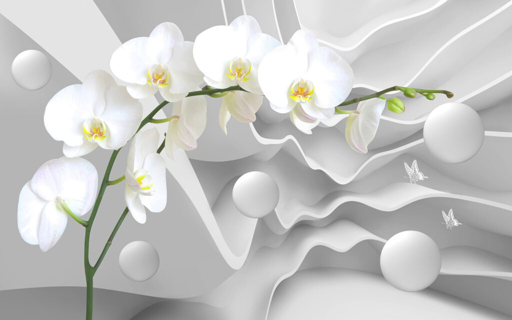 Bílé orchideje a bílé koule Bílé orchideje a bílé koule