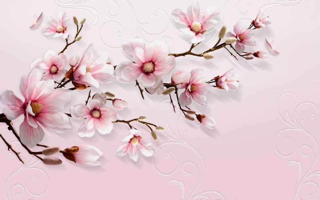 Delicate blossoms on soft pink backdrop Delicate blossoms on soft pink backdrop
