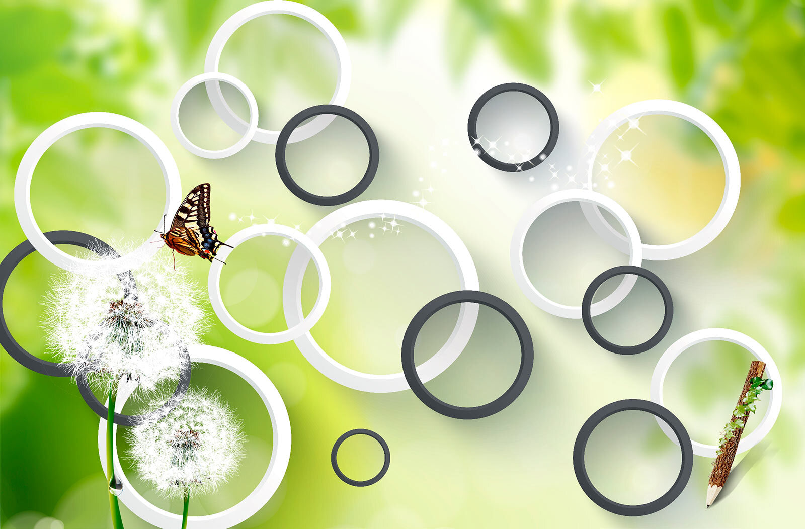 Motýl na květu pampelišky u42442p - Motýl na květu pampelišky - tegory