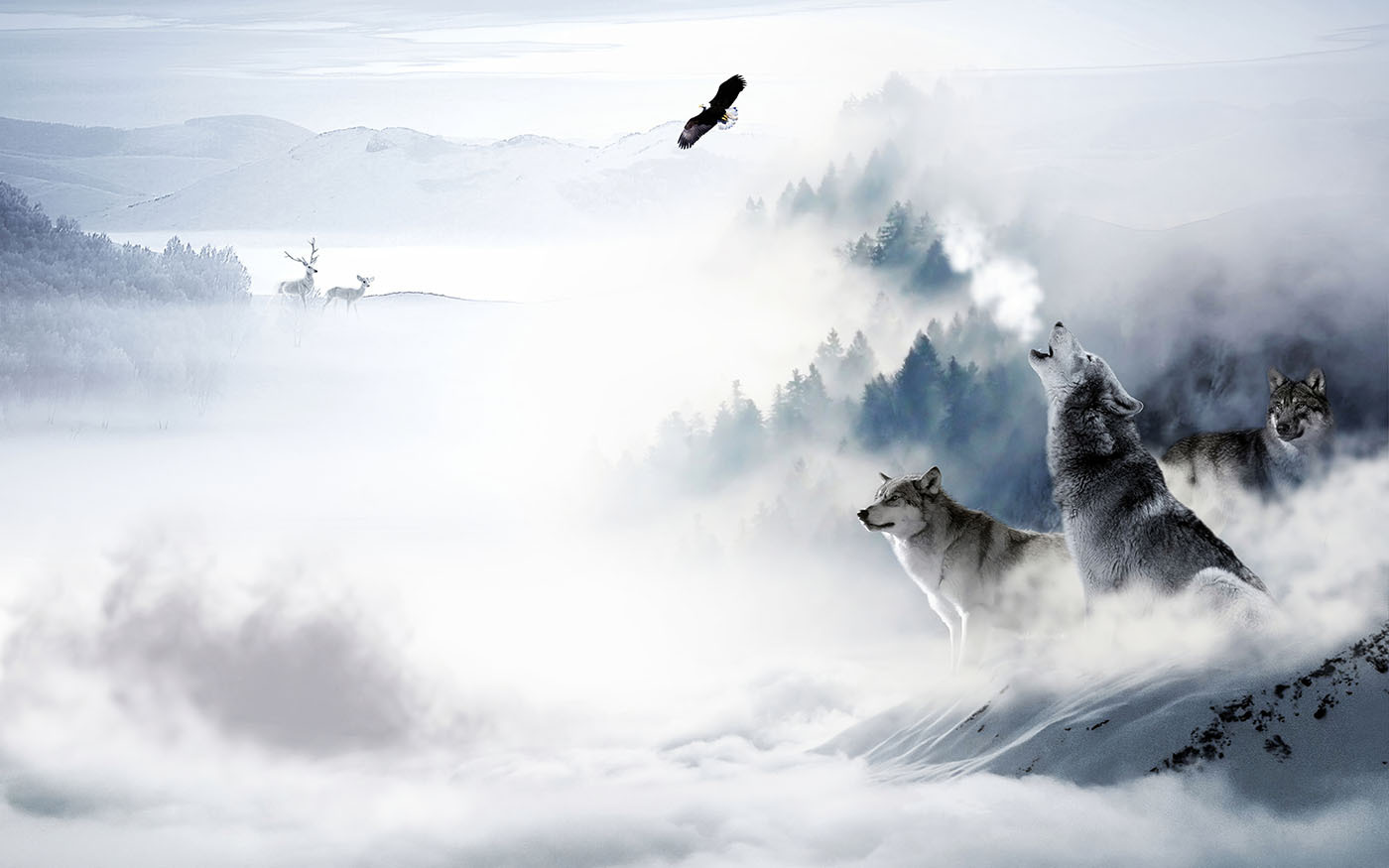 Wolf howling in the snow