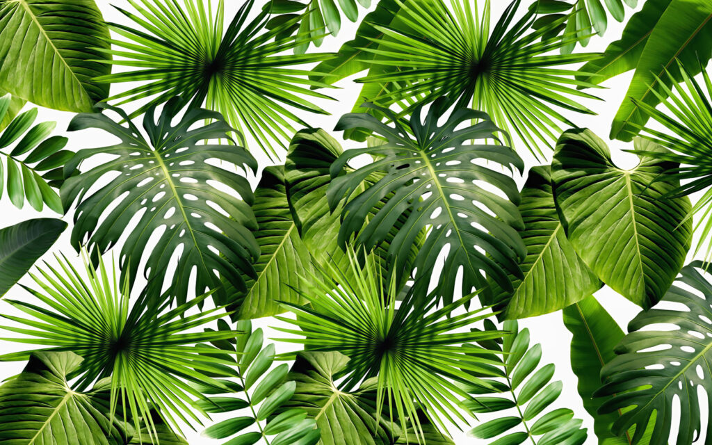Group of green leaves Group of green leaves