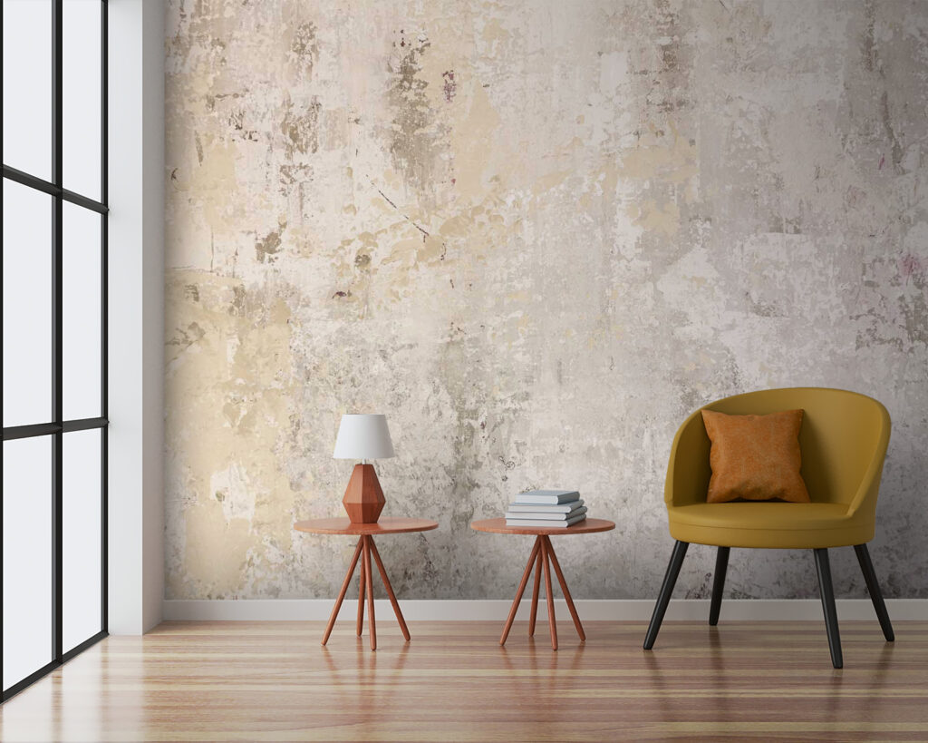 u37091pig3 1024x819 - Bílá stěna se škrábanci a prasklinami - tegory