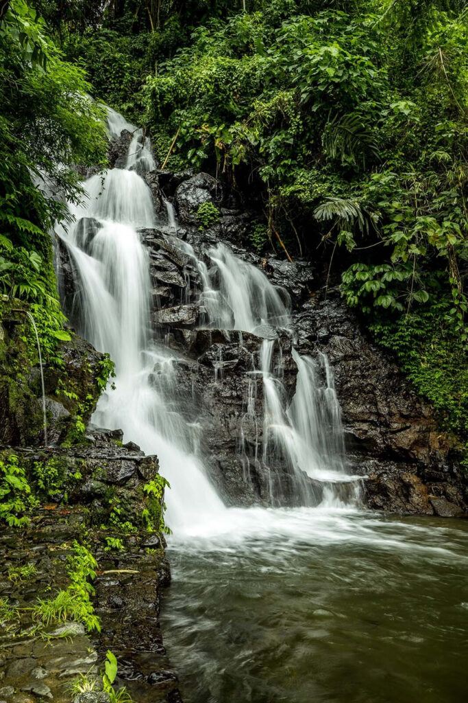 Waterfall in the middle of a forest