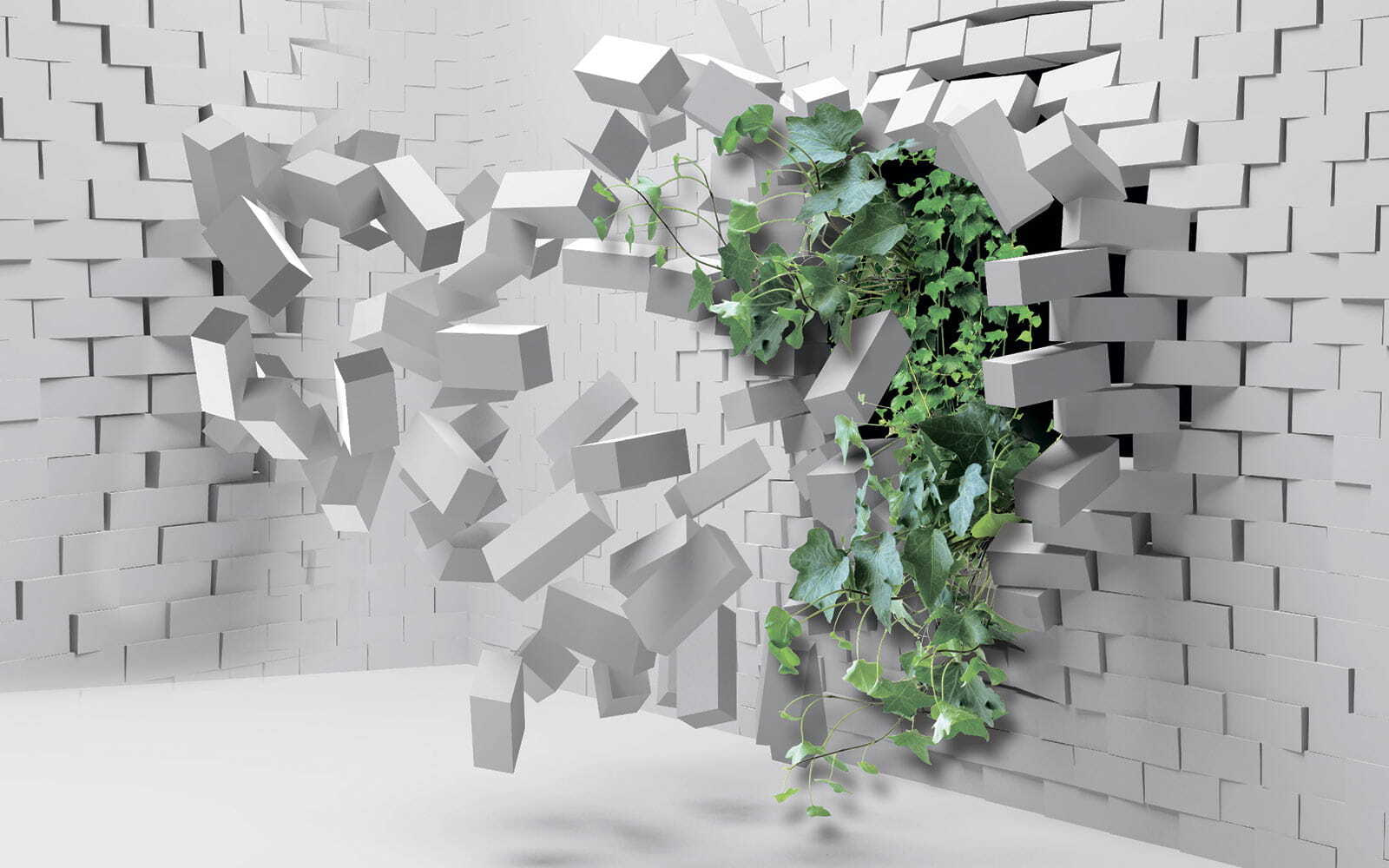 Plant breaking through a wall