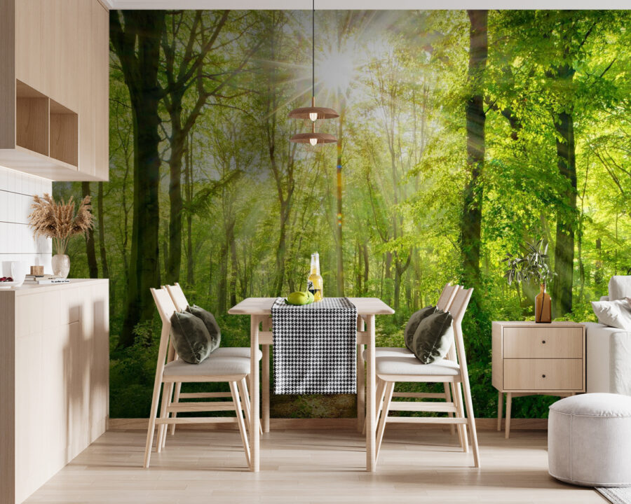 Fototapeta Cesta lesem se stromy a rostlinami - Image 5