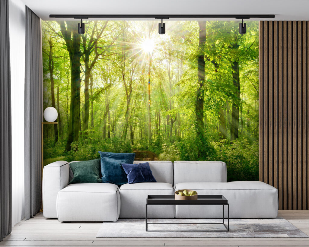 Path through a forest with trees and plants